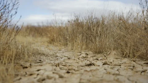 California Desert Dry Path Stock Footage 167044780