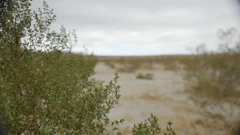 California Desert Stock Footage 167041504
