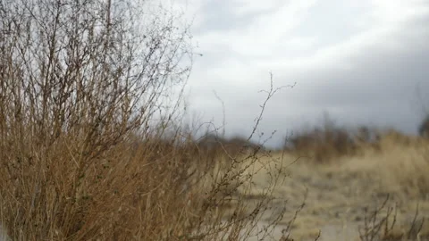 California Desert Stock Footage 167044157