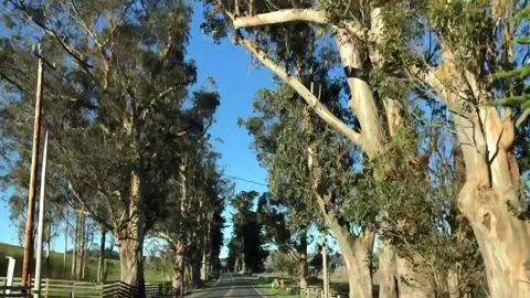 California Drive Stock Footage 134303464