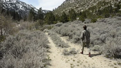 California Emigrant Trail on the Carson River, hiker Video stock 165311598