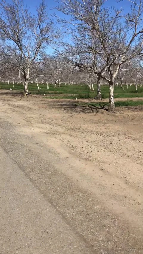 California farm in the fall Video stock 260498268