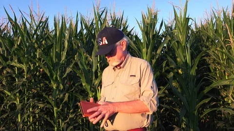 California farmer wearing USA ball cap Stock Footage