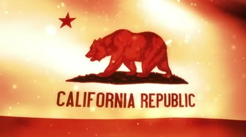 California flag on fire Video stock 11212480