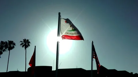 California Flag Stock Footage 5855881