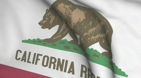California Stock Footage 401549
