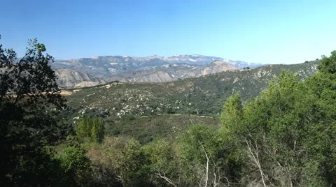 California Forest and Trees 動画素材 64913196