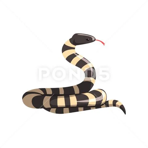 California king snake with black and white bands. Cartoon large reptile with Stock Illustration