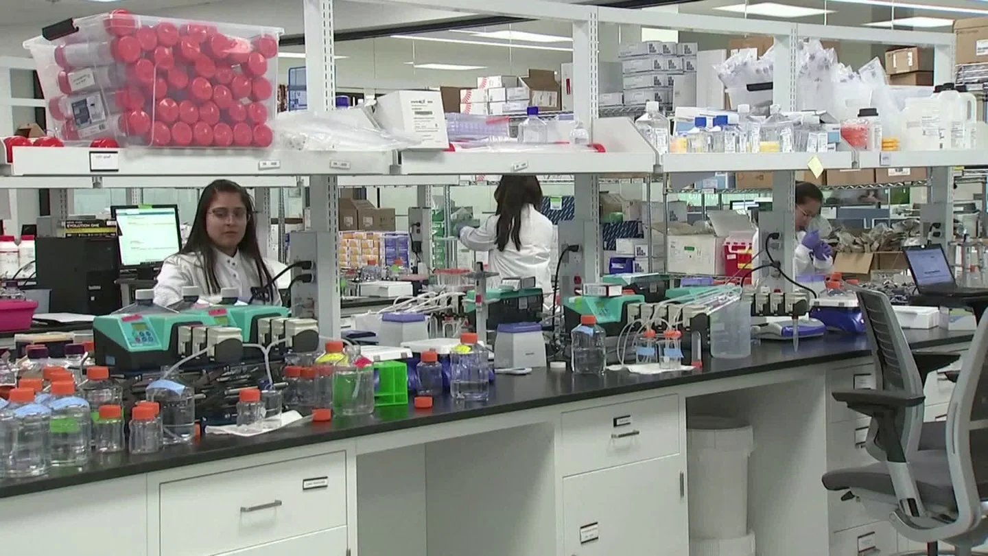 California Laboratory Aims To Develop A Single Shot Vaccine For Coronaviru... Stock Footage