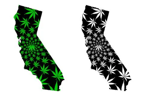 California - map is designed cannabis leaf Stock Illustration