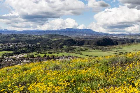 California Meadows Stock Photos