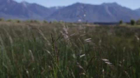 California Mountains 스톡 동영상 24791357