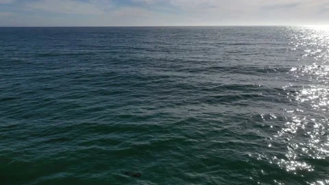 California Ocean Stock Footage 140536338
