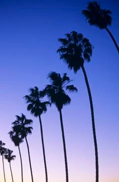 California Stock Photos