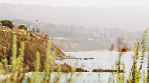 California shore through grass Stock Footage 74062641