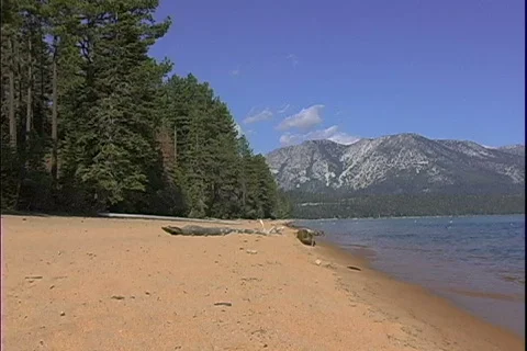 California Side Beach Video stock 816756