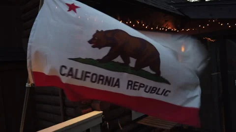 California State Flag Blows In the Wind Stock-Footage 248191031