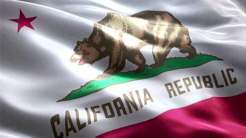 California State Flag Stock Footage 235854720