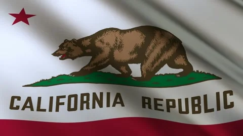 California State Flag Stock Footage 276104810