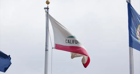 California State Flag Stock Footage 284660175