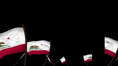 California State Flags Waving Crowd. Realistic 4K 60fps Seamless Loop Stock Footage 338405895