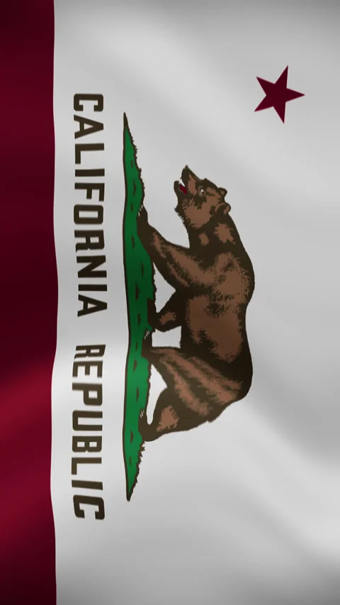 California State Waving Flag in Vertical Orientation – Loop Animation Stock Footage 294948751
