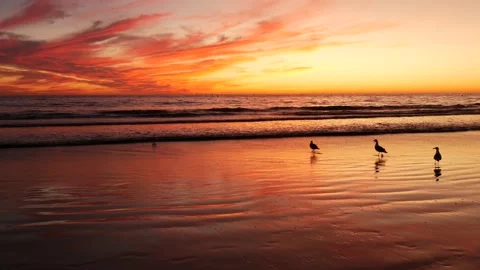 California summertime beach aesthetic, golden sunset. Vivid dramatic clouds over Stock Footage 137514411