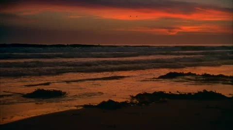 California Surfers Stock Footage 11960158