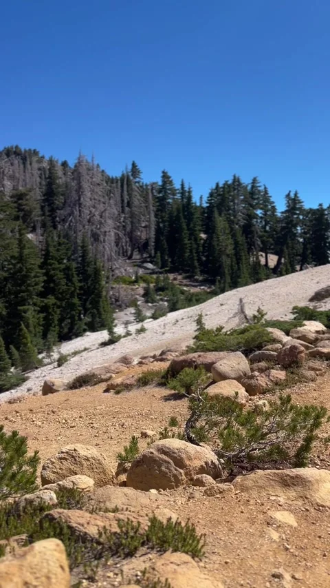 California Tortoiseshell Migration on Bumpass Hell Trail Stock-Footage 344881512