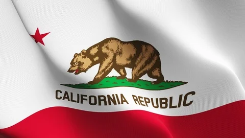 California US State flag loop waving on wind. Stock Footage 119189563