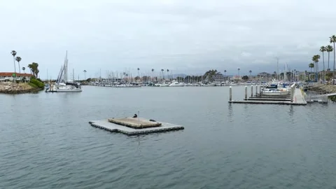 California  A view of the floating dock floating in the middle of the Oceans Stock-Footage 245463809
