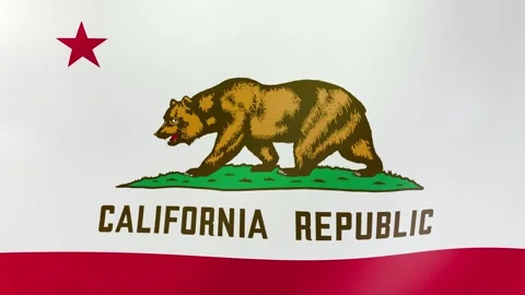 California Waving flag Stock Footage 297319817