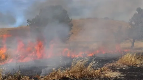 California Wild Fire Stock Footage 63420923