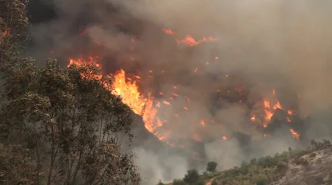 California Wildfire brush burning Stock Footage 38202525