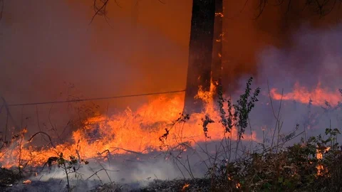 California Wildfire Stock Footage 125912903