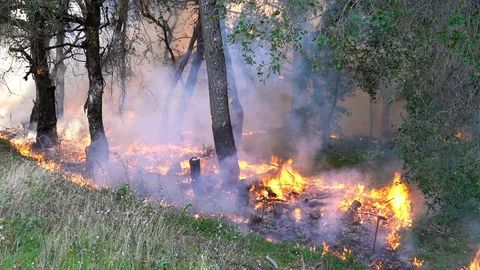 California Wildfire Stock Footage 125912916