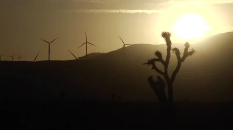 California wind generators at sunset Vidéo 48815981
