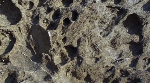Califronai Beach rock texture Stock Footage 54294552