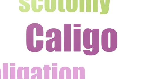 Caligo Tag Cloud Animated Isolated Vídeos de archivo 107228419