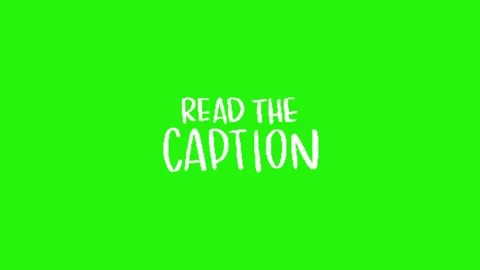 Call to action animation on green screen Видео 334771974