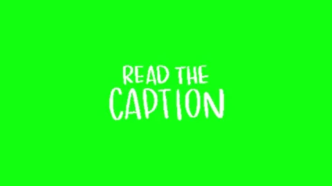 Call to action animation on green screen Видео 335523426