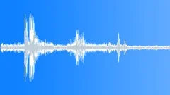 Call of young brown owls during a thunderstormSound Effect