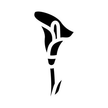 Calla flower glyph icon vector illustration Stock Illustration