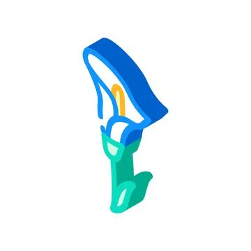 Calla flower isometric icon vector illustration Illustrazione stock