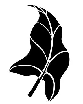 Calla leaf, tropical plant - vector silhouette picture for logo or pictogram. Su Stock Illustration