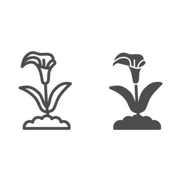 Calla line and solid icon, summer flowers concept, arum lily sign on white Stockillustratie