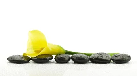 Calla with stones to spa Stock Photos