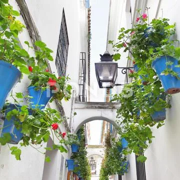 Calleja de las Flores Stock Photos