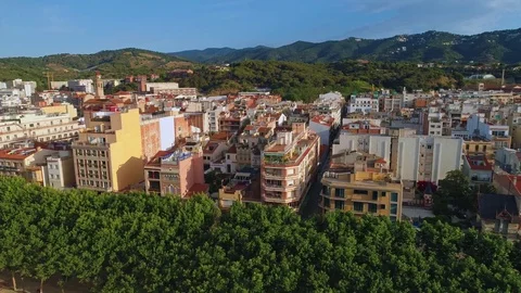 Callela Stock Footage 76360020