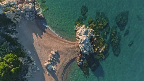 Callela Stock Footage 76361451